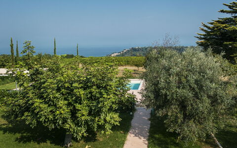 Villa Degli Aranci: Sky, Plant, Plant Community, Natural Landscape, Vegetation, Land Lot, Grass, Biome, Shrub, Agriculture