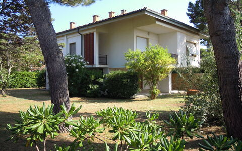 Casa Argentario: Plant, Sky, Property, Building, Window, Tree, Botany, Vegetation, Grass, House