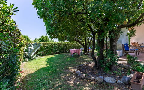 Villa Il Pesco: Plant, Property, Nature, Leaf, Tree, Vegetation, Sky, Biome, Grass, Woody Plant