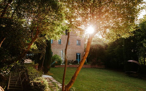 Villa Millefiori: Plant, Leaf, Tree, Branch, Lighting, Sunlight, Natural Landscape, Street Light, Vegetation, Grass