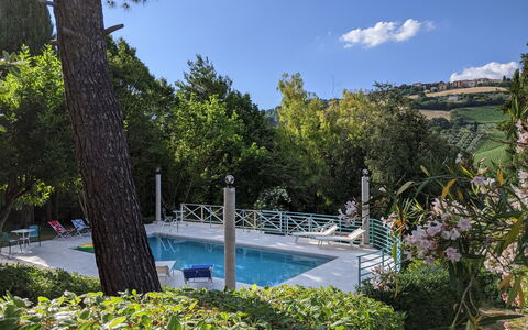 Villa Millefiori: Water, Plant, Cloud, Sky, Water Resources, Nature, Natural Landscape, Swimming Pool, Tree, Vegetation