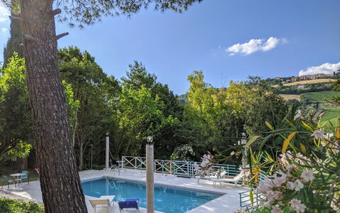 Villa Millefiori: Water, Plant, Sky, Cloud, Swimming Pool, Natural Landscape, Tree, Shade, Leisure, Real Estate