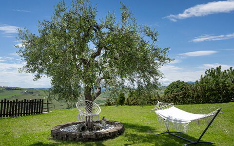 La Casa Di Campagna: Grass, Branch, Grassland, Plain, Garden, Trunk, Lawn, Twig, Woody Plant, Meadow