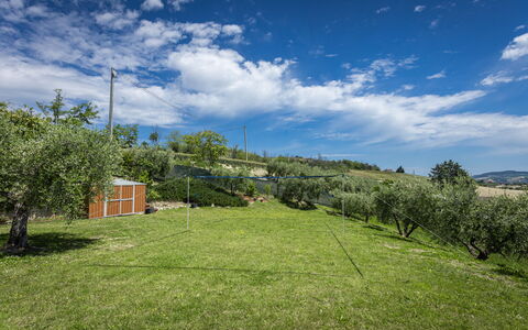 La Casa Di Campagna: Grass, Landscape, Grassland, Plain, Land Lot, Rural Area, Pasture, Meadow, Field, Lawn