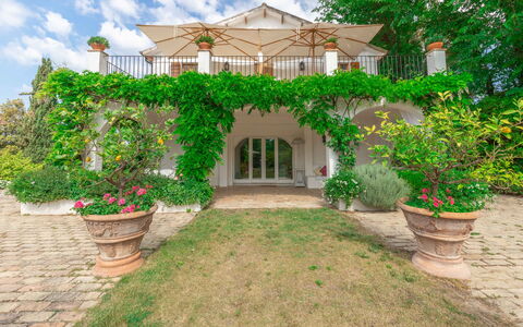 Villa La Picena: Plant, Building, Window, Sky, Flower, Cloud, House, Flowerpot, Tree, Land Lot