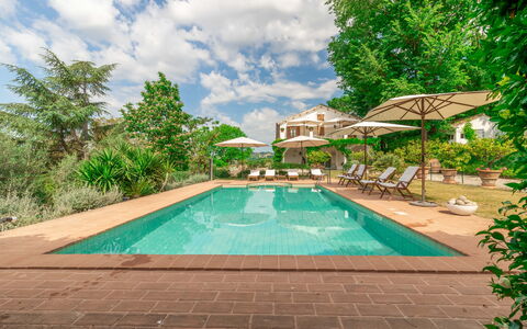 Villa La Picena: Water, Plant, Sky, Cloud, Swimming Pool, Tree, Building, Arecales, Outdoor Furniture, Grass