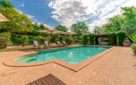 Villa La Picena: Cloud, Water, Plant, Swimming Pool, Sky, Tree, Chair, Shade, Arecales, Grass
