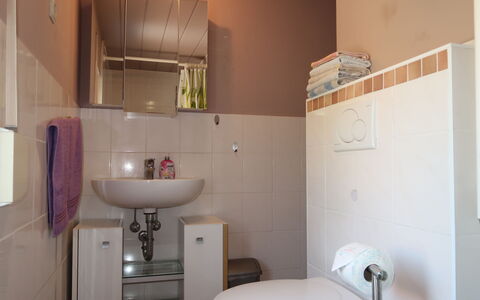 Leon: Tap, Plumbing Fixture, Bathroom Sink, Property, Sink, Toilet, Toilet Seat, Building, Bathroom, Purple