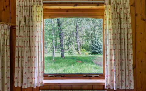 Riverside Cottage: Property, Window, Plant, Leaf, Shade, Wood, Curtain, Interior Design, Rectangle
