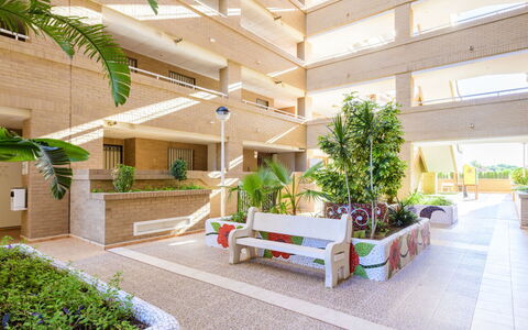 Jardines del Mar Ii - Marina D'Or: Plant, Property, Interior Design, Urban Design, Outdoor Furniture, Real Estate, Building, Houseplant, Facade, Bench