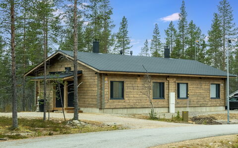 Pehtoori B: Cottage, Siding, Log Cabin, Larch, Garden Buildings, Driveway, Shed, Pine Family