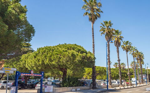 Hyères 203: Tree, Street Light, Family Car, Parking, Shade, Parking Lot