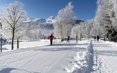 Accommodation:&nbsp;Superior # 5D mit Sauna 700.14
