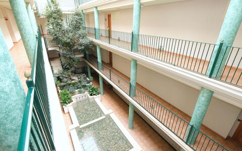 Golden Beach: Building, Green, Plant, Interior Design, Architecture, Wood, Urban Design, Window, Condominium, Floor