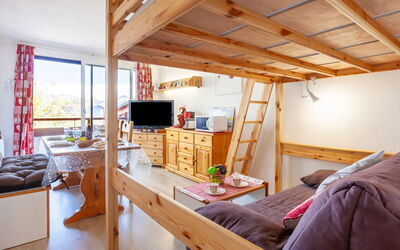 Accommodation:&nbsp;Pegase Phenix 310.70