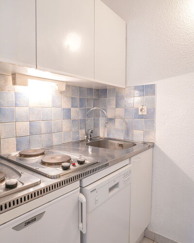 Pegase Phenix 310.16