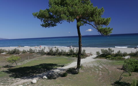 La Marana 600: Building, Plant, Property, Window, Land Lot, Urban Design, Landscape, Neighbourhood, Grass, Leisure
