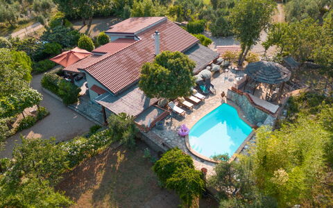 Hjort: Plant, Tree, Building, Architecture, Vegetation, Urban Design, Swimming Pool, Leisure, House, Residential Area