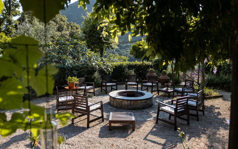 Hjort: Plant, Shade, Outdoor Furniture, Natural Landscape, Road Surface, Tree, Leisure, Grass, Landscape, Tints And Shades