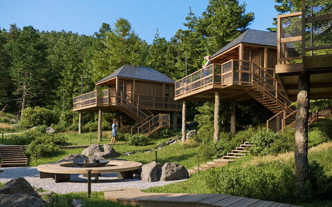 Premium Baumhaus mit 1 Schlafzimmer: Plant, Sky, Window, Building, Tree, Natural Landscape, Cottage, House, Wood, Land Lot