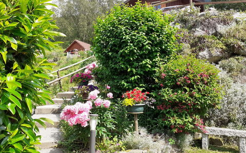 Namasté: Flower, Plant, Plant Community, Botany, Building, Window, Tree, House, Grass, Shrub