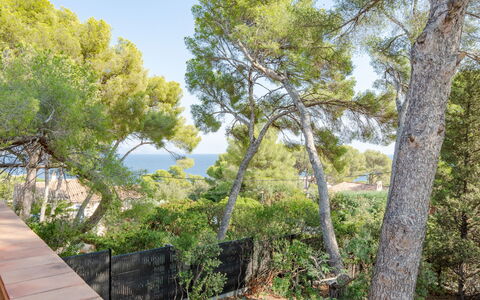 Marysol: Sky, Plant, Plant Community, Natural Landscape, Tree, Wood, Trunk, Grass, Landscape, Shrub