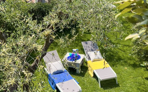 Villa La Rodina - Diano Marina: Plant, Plant Community, Natural Landscape, Vegetation, Land Lot, Grass, Biome, Tree, Shrub, Groundcover