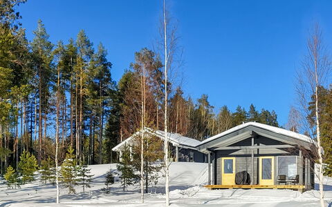Paloranta: Tree, Wood, Branch, House, Cottage, Roof, Home, Winter, Snow, Freezing