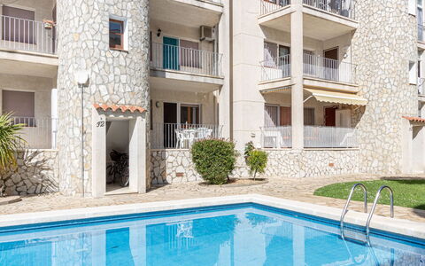 Flamicell: Water, Plant, Property, Window, Building, Blue, Azure, Swimming Pool, Body Of Water, Urban Design