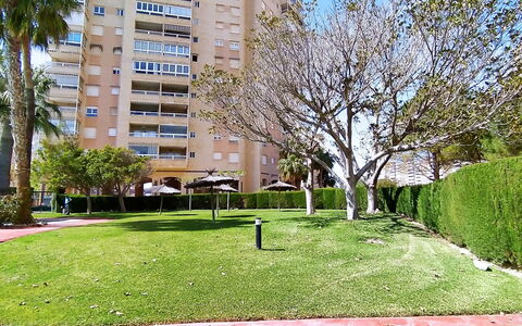 Bitacoras: Building, Plant, Property, Sky, Botany, Tree, Leaf, Nature, Green, Window