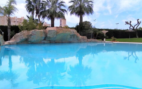 Bitacoras: Water, Cloud, Sky, Swimming Pool, Plant, Tree, Azure, Natural Landscape, Arecales, Composite Material