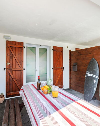 Jardins de Maignon: Plant, Property, Building, Wood, Window, Door, Houseplant, Interior Design, House