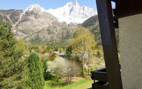 Alpen Roc: Plant, Mountain, Sky, Property, Nature, Natural Landscape, Shade, Highland, Tree, Biome