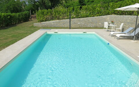 Castellaio: Water, Property, Swimming Pool, Plant, Azure, Rectangle, Shade, Wood, Grass, Leisure
