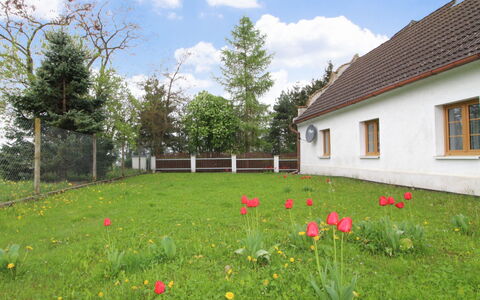 Vlhlavy U Hluboké: Flower, Cloud, Sky, Plant, Property, Window, Building, Tree, Botany, Natural Landscape