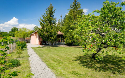 Pear Trees: Sky, Plant, Building, Daytime, Property, Tree, Urban Design, Neighbourhood, Residential Area, Woody Plant