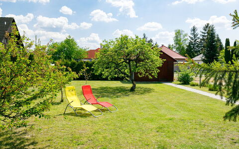 Pear Trees: Sky, Plant, Building, Daytime, Property, Tree, Urban Design, Neighbourhood, Residential Area, Woody Plant