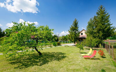Pear Trees
