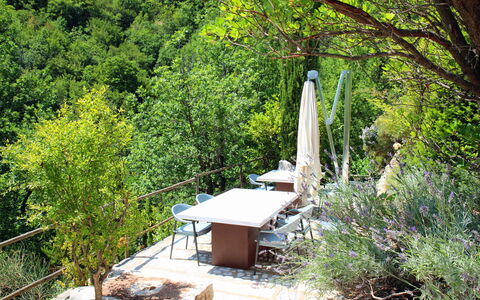 Villa Vetice: Plant, Plant Community, Tree, Natural Landscape, Branch, Wood, Sunlight, Grass, Biome, Woody Plant
