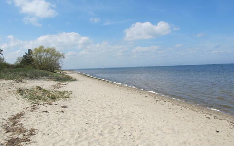 Philipp: Cloud, Water, Sky, Plant, Ecoregion, Beach, Coastal And Oceanic Landforms, Bank, Natural Landscape, Tree
