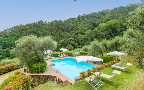 Santa Margherita: Plant, Plant Community, Sky, Natural Landscape, Tree, Umbrella, Vegetation, Land Lot, Outdoor Furniture, Swimming Pool