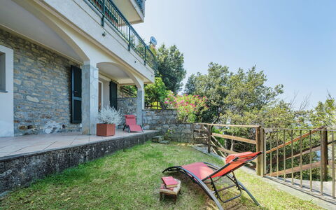 Lambrusca: Plant, Sky, Property, Building, Window, Wheel, Land Lot, Outdoor Furniture