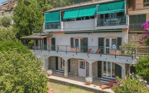 Lambrusca: Plant, Building, Window, Urban Design, Neighbourhood, Tree, Residential Area, House, Facade, Real Estate