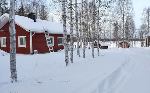 Koivulahden Reinola: Wood, Cottage, Log Cabin, Forest, Shed, Garden Buildings, Larch, Woodland, Wood Stain