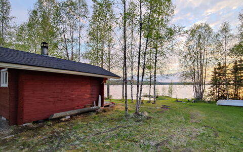 Koivulahden Reinola: Wood, Cottage, Log Cabin, Forest, Shed, Garden Buildings, Larch, Woodland, Wood Stain
