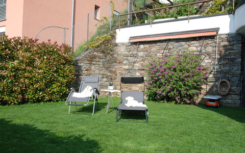 Lakeview: Plant, Flower, Property, Building, Botany, Land Lot, Window, Outdoor Furniture, Grass, Landscape