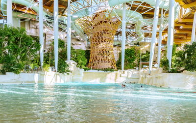 Serris 651: Water, Plant, Daytime, Property, Azure, Swimming Pool, Tree, Building, Leisure, Shade