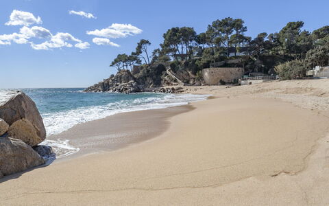 Montse: Water, Sky, Cloud, Water Resources, Azure, Tree, Natural Landscape, Beach, Coastal And Oceanic Landforms, Plant