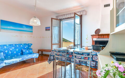 Terrazza di Paolo: Plant, Table, Property, Furniture, Azure, Flowerpot, Blue, Houseplant, Building, Window