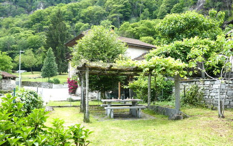 Margarita: Tree, Vegetation, Shrub, Garden, Rural Area, Spring, Shade, Cottage, Landscaping